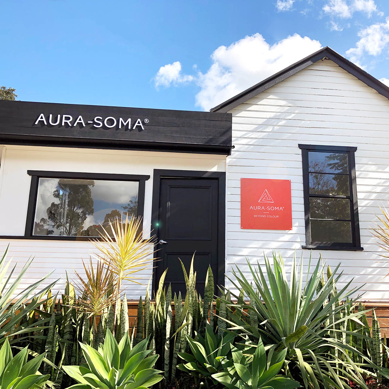 Aura-Soma-02