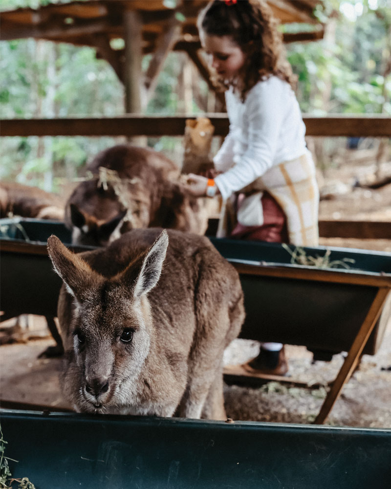 BYRONBAYWILDLIFESANCTUARY_The_book_review_northernrivers