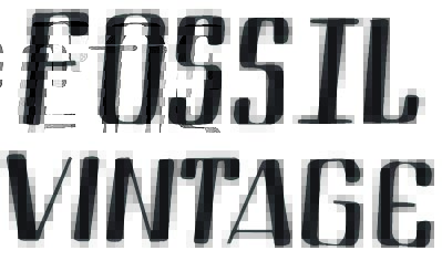 Northern_Rivers_BookReview_FOSSIL VINTAGE-logo