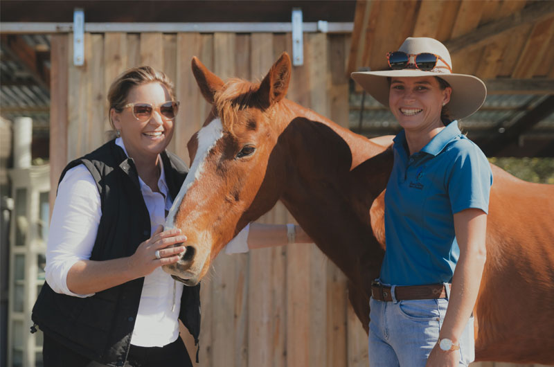 FEATURE_equinetherapy_The_book_review_northernrivers