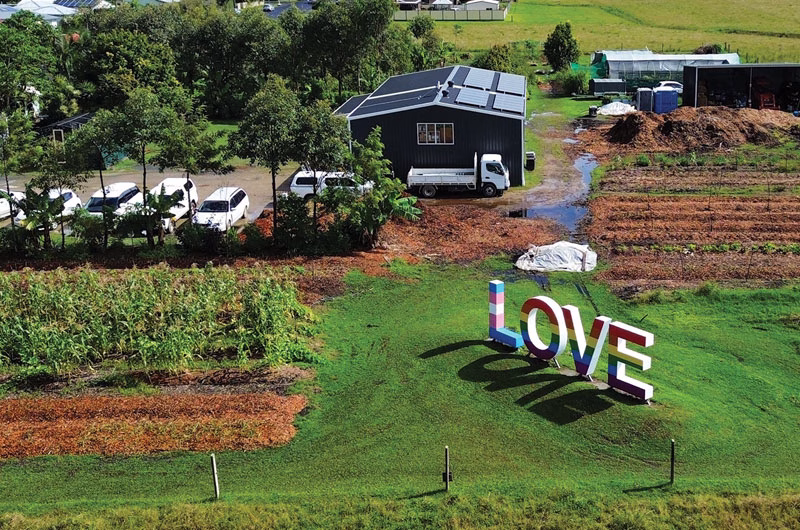 thebookreview_PADDOCKPROJECT