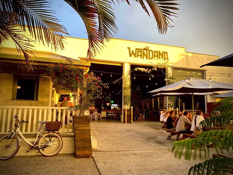 thebookreview_WANDANA2