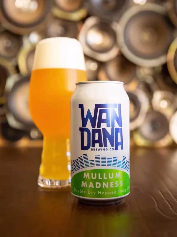 thebookreview_WANDANA2