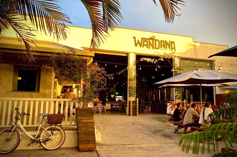 thebookreview_WANDANA2