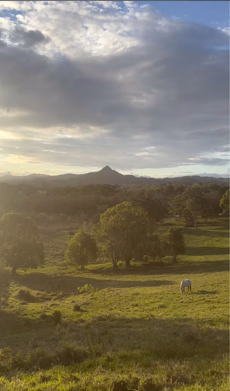 WILDREST_thebookreview