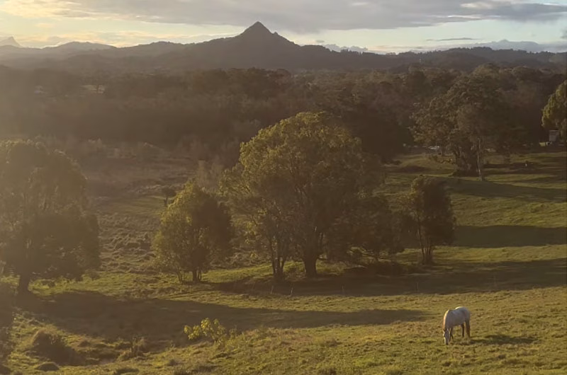 WILDREST_thebookreview